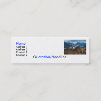 Mini Carte de visite