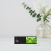 Mini Carte de visite 2 de fractale (Debout devant)