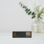 Mini Carte de visite de marais (Debout devant)