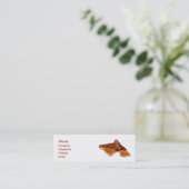 Mini Carte de visite de Peanut Brittle (Debout devant)