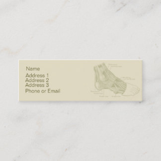 Mini Carte de visite de pied d'Antatomy