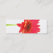 Mini Carte de visite de profil de marguerite de Gerbera (Dos)