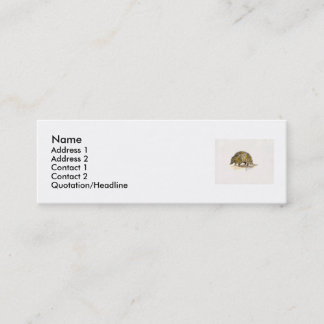 Mini Carte de visite de profil de tatou
