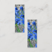 Mini Carte de visite de signet d'Agapanthus (Devant / Derrière)