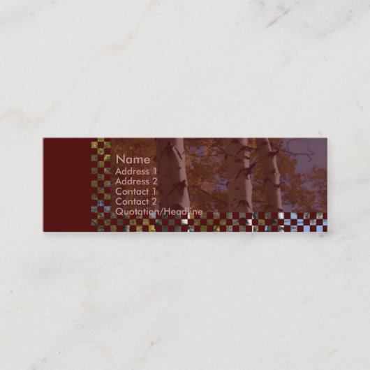 Mini Carte de visite des oiseaux (Devant)