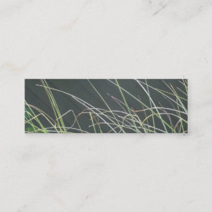 Mini Carte de visite d'herbes