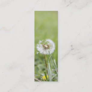 Mini Carte de visite maigre d'optimisme