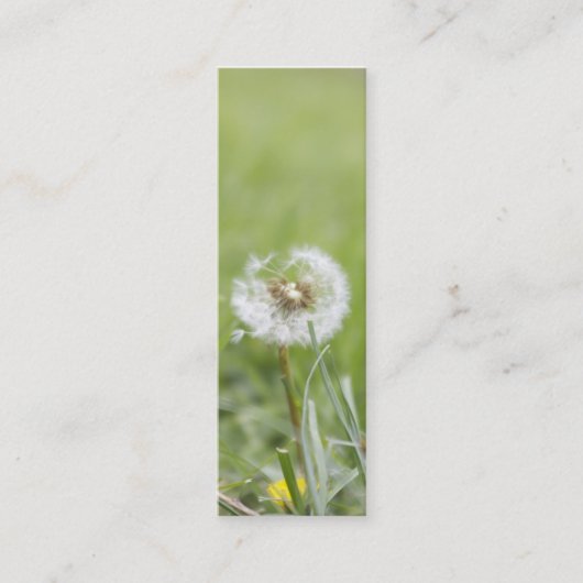 Mini Carte de visite maigre d'optimisme (Devant)