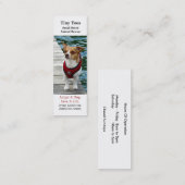 Mini Carte de visite professionnelle de visite de (Devant / Derrière)