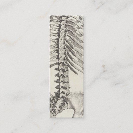 Mini Carte de visite spinal (Devant)