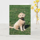 Mini carte de voeux de chiot de Goldendoodle (Fleur jaune)