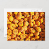 Mini carte postale Citrouille (Devant / Derrière)