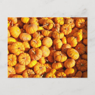 Mini carte postale Citrouille