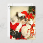 Mini carte postale de X'mas de Schnauzer (Devant / Derrière)