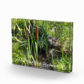 Mini Cattails Lagoon Fotoblokken (Rechts)