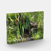 Mini Cattails Lagoon Fotoblokken (Links)