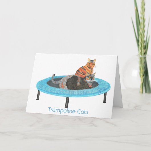 Mini chats 2, cartes de voeux de trempoline (Devant)