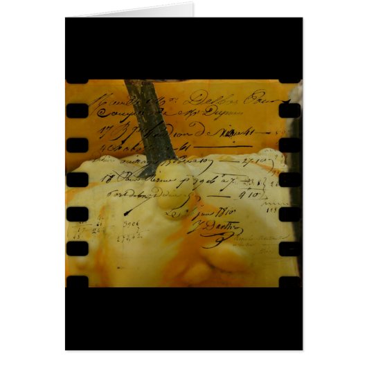 Mini Citrouilles (Devant)