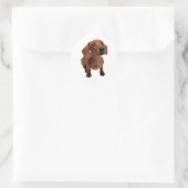 Mini Dachshund Decal Ronde Sticker (Tas)