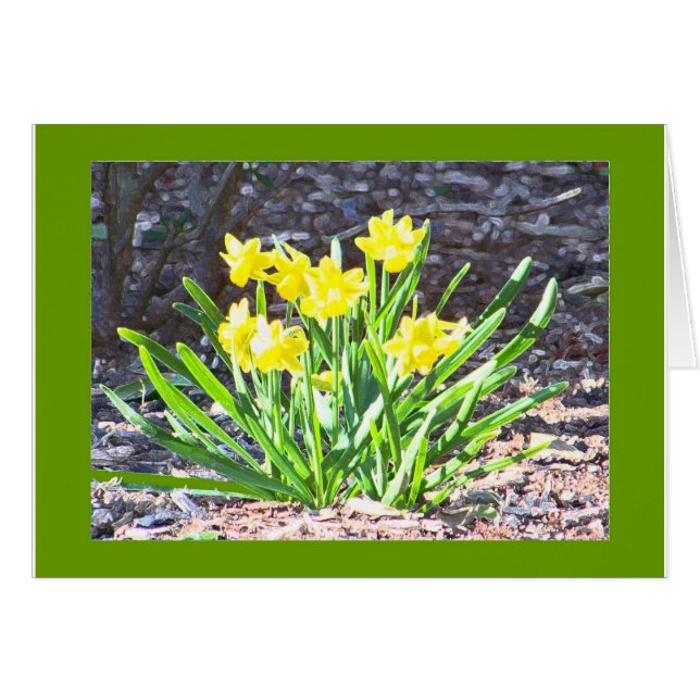 mini-Daffodilerkaart (Voorkant Horizontaal)