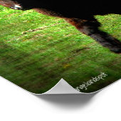 Mini Filly Poster (Hoek)