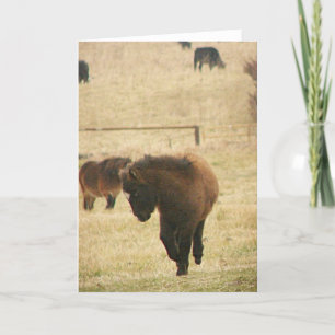 Mini Foal die haar hellingen opblaast Kaart