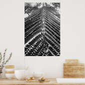 mini folhas - P&B Poster (Keuken)