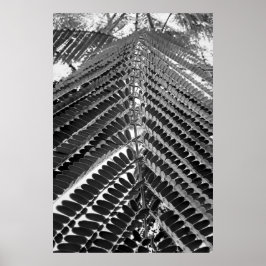 mini folhas - P&B Poster