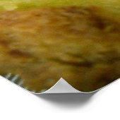 Mini-ham en kaassammies poster (Hoek)