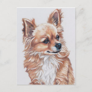 Mini het Chihuahua DogArt-Briefkaart Briefkaart