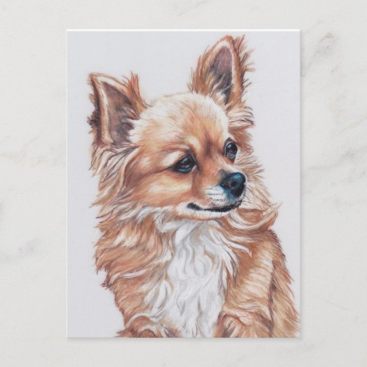 Mini het Chihuahua DogArt-Briefkaart Briefkaart (Voorkant)