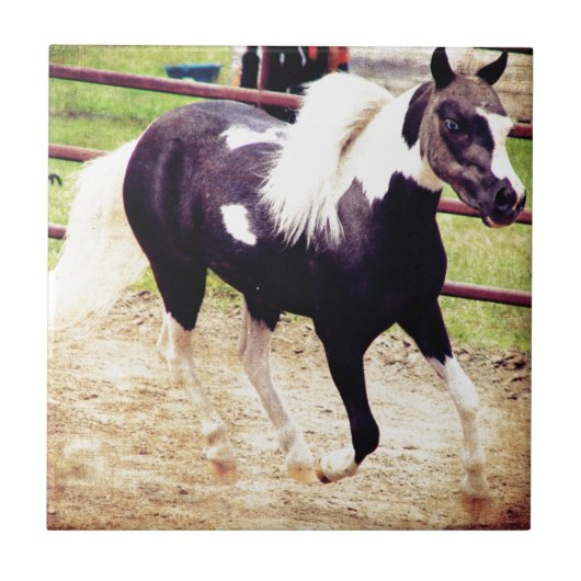 Mini Horse bij Liberty Tegeltje (Voorkant)