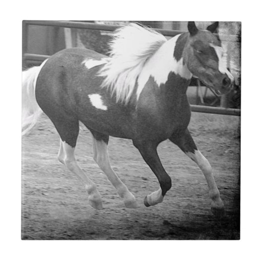 Mini Horse Gallops Tegeltje (Voorkant)