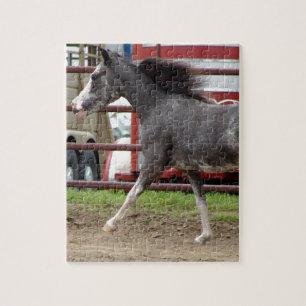 Mini Horse in de Liberty Class Legpuzzel
