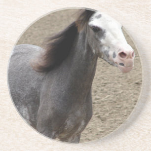 Mini Horse in Liberty Class op een Show van paarde Zandsteen Onderzetter