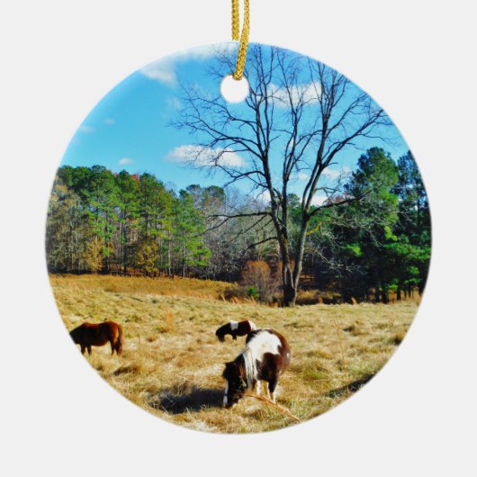 Mini Horses Keramisch Ornament (Voorkant)