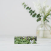 Mini Hosta dans carte de visite du jardin 3 de zen un (Debout devant)