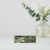 Mini Hosta dans un Carte de visite de jardin zen (Debout devant)