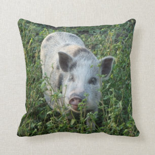Mini Juliana Pet Pig Kussen