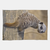 Mini Kat Keukenhanddoek (Horizontaal)