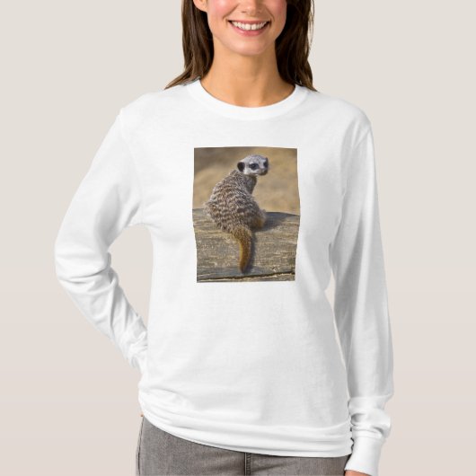 Mini Kat Tee T-shirt (Voorkant)