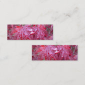 Mini L'érable japonais rouge part du carte de visite de (Devant / Derrière)