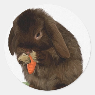 Mini Lop Bunny en wortelen Ronde Sticker