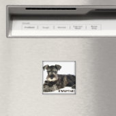 Mini magnet Schnauzer (In Situ (Lave-vaisselle))