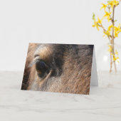 Mini Mare Eye Kaart (Gele Bloem)