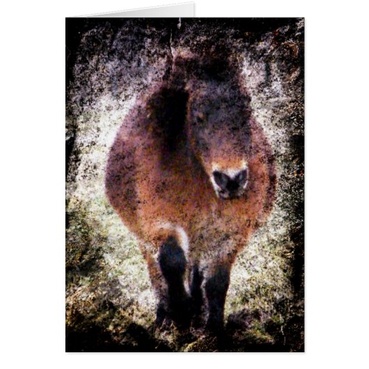 Mini Mare Grunge (Voorkant)