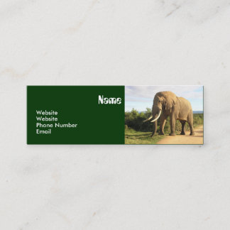 Mini Modèle maigre de carte de visite d'éléphant