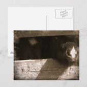 Mini-neus over Gate Briefkaart (Voorkant / Achterkant)