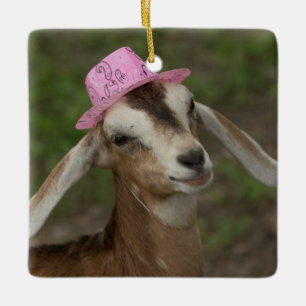 Mini Nubian Dairy Goat in een roze Cowgirl Pet Keramisch Ornament