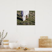 Mini Paarden Poster (Keuken)